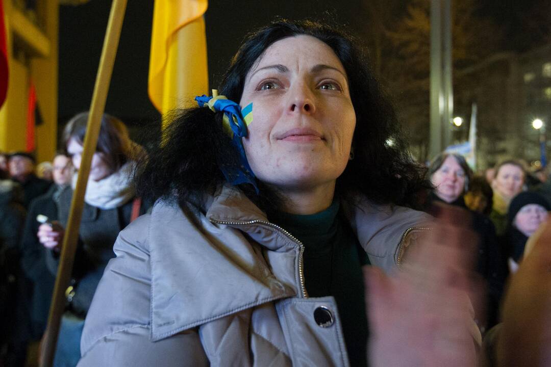 Ukrainos palaikymo mitingas Vilniuje