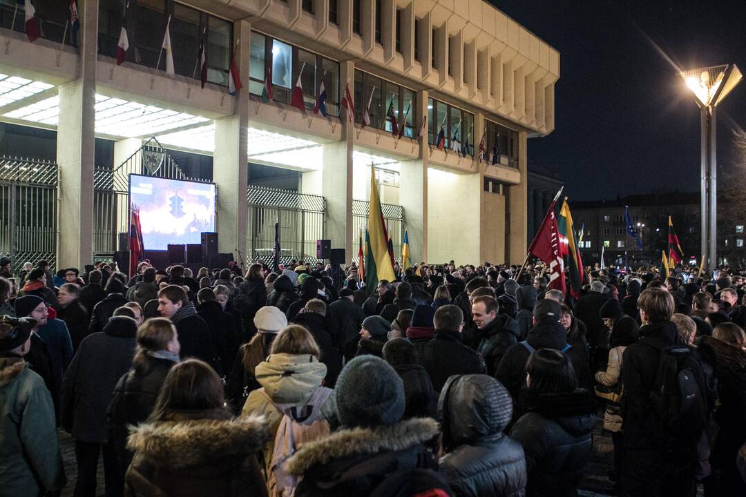 Ukrainos palaikymo mitingas Vilniuje
