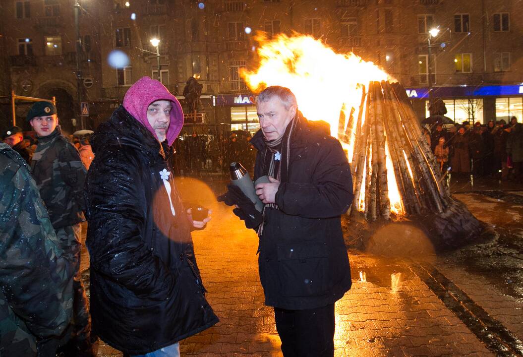 Laisvės laužai prie Seimo