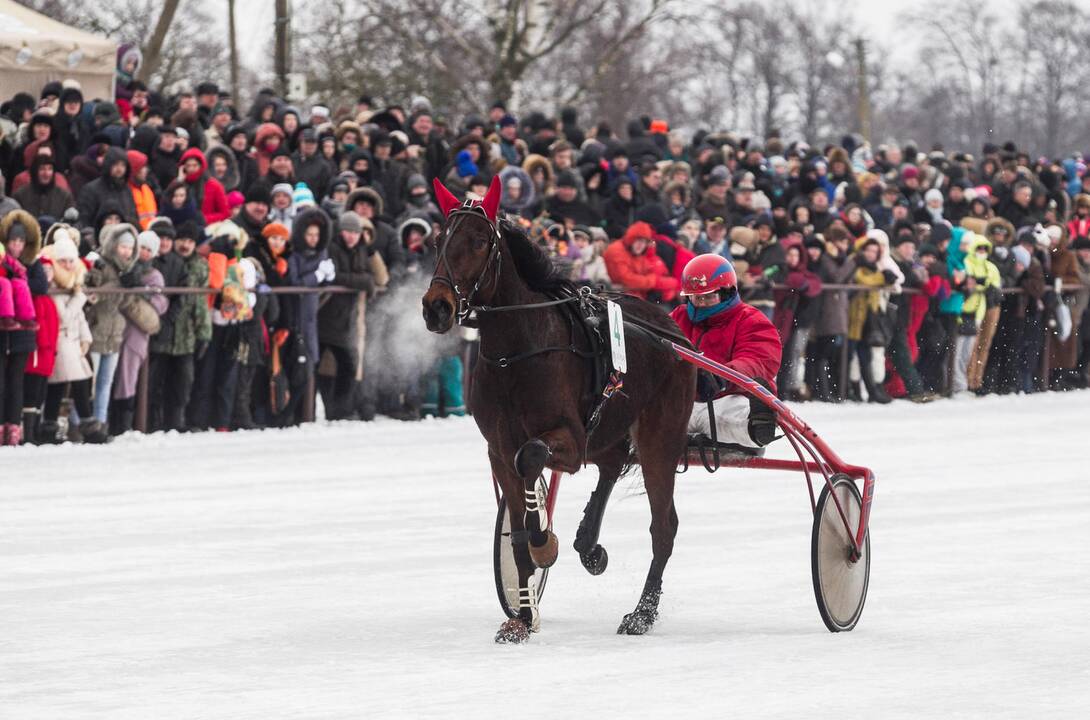 Ristūnų lenktynės "Sartai 2015"