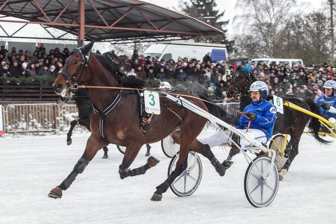 Ristūnų lenktynės "Sartai 2015"