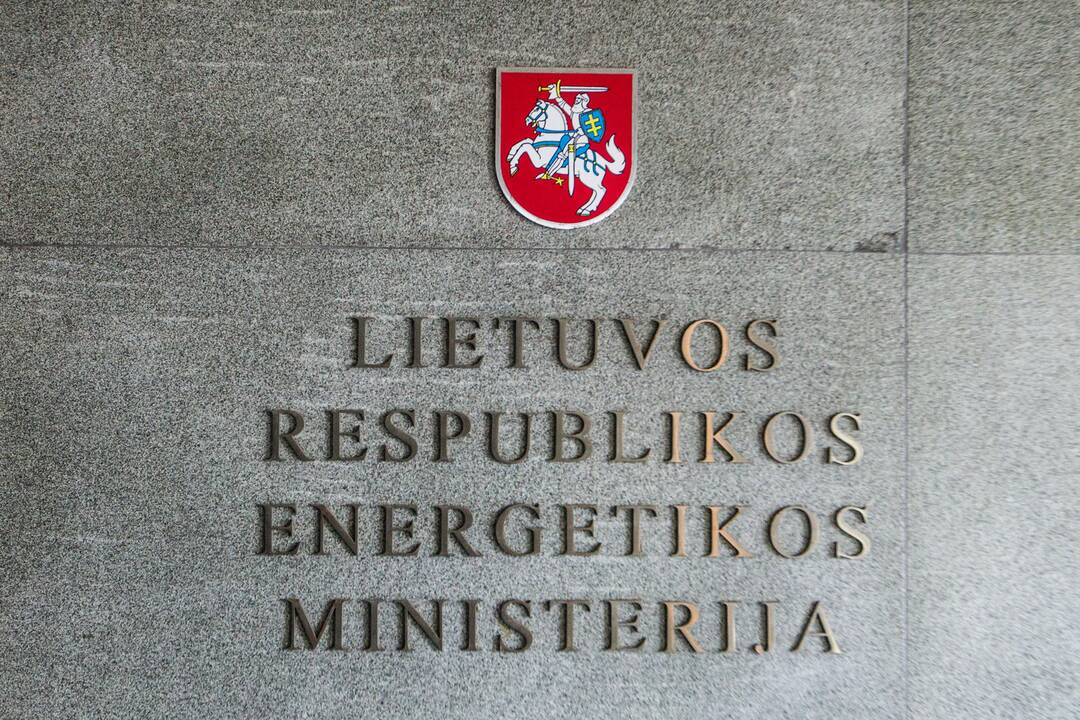 Energetikos viceministru paskirtas A. Zananavičius
