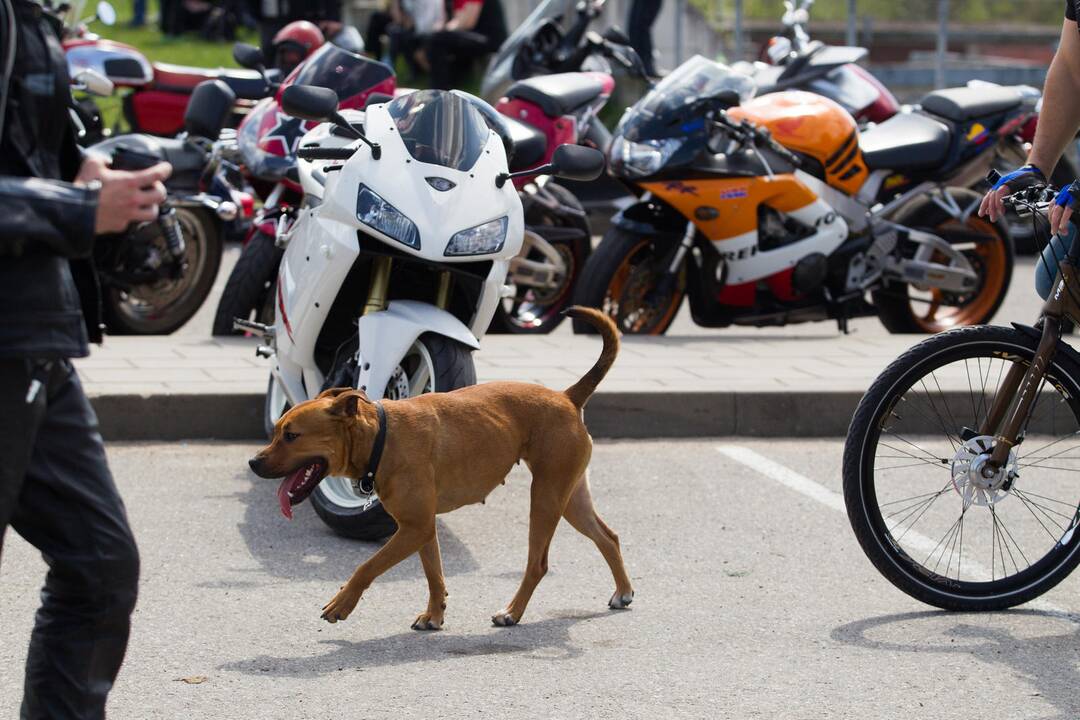 Baikerių akcijoje motociklais pavežėta 80 neregių 