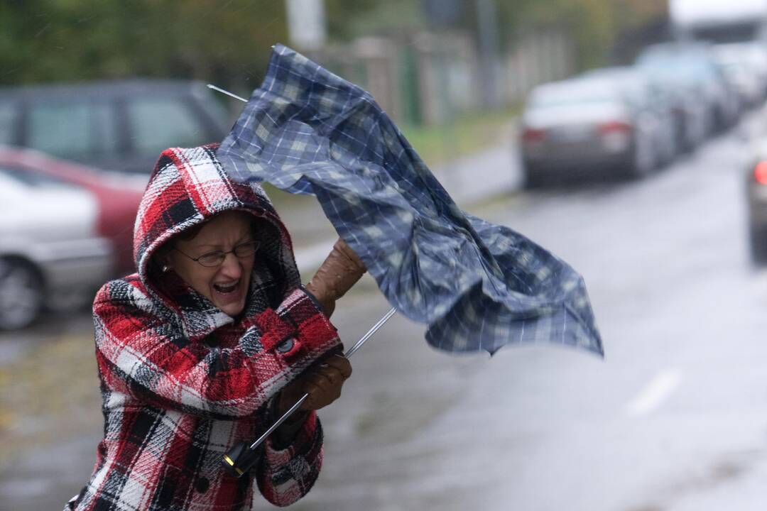 Dėl vėjo keliuose gali pasitaikyti nuvirtusių medžių ar nulaužtų šakų