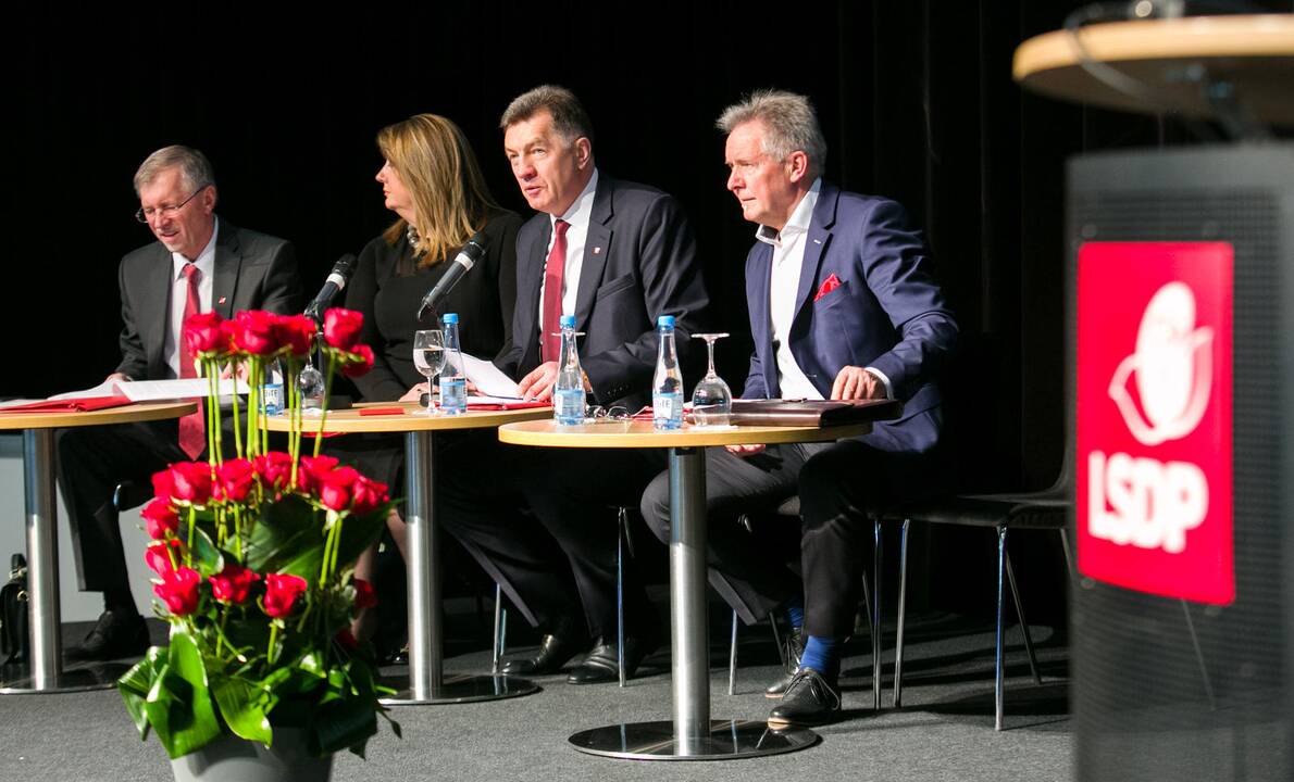 Socialdemokratų programoje įžvelgia gudrybę