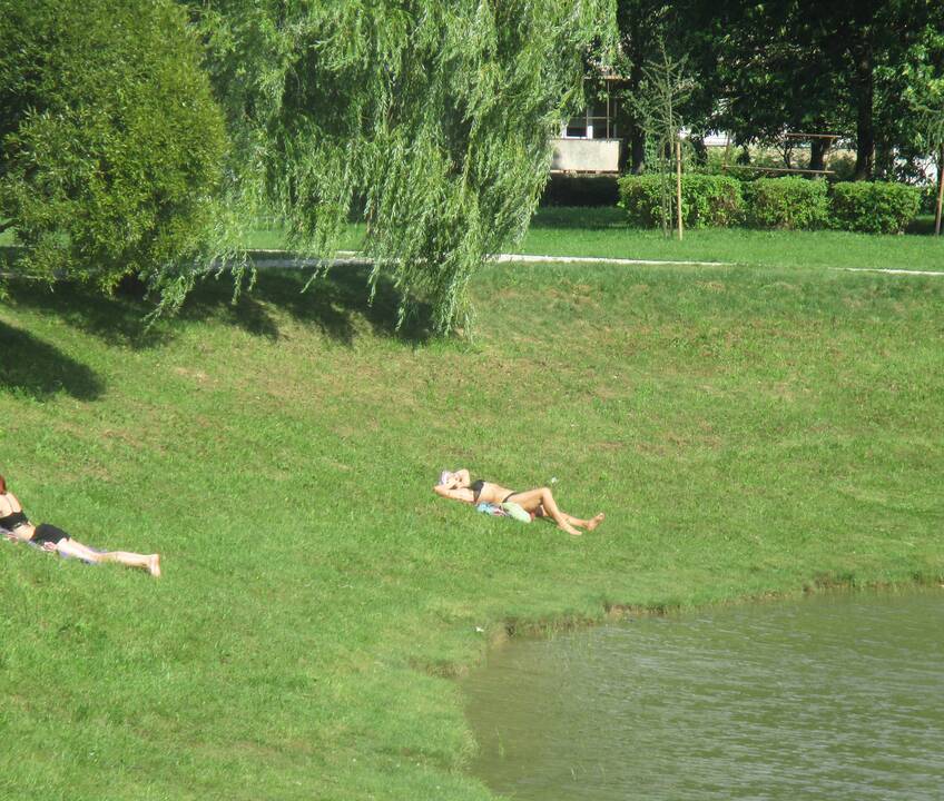 Galima ar negalima degintis viešose vietose?