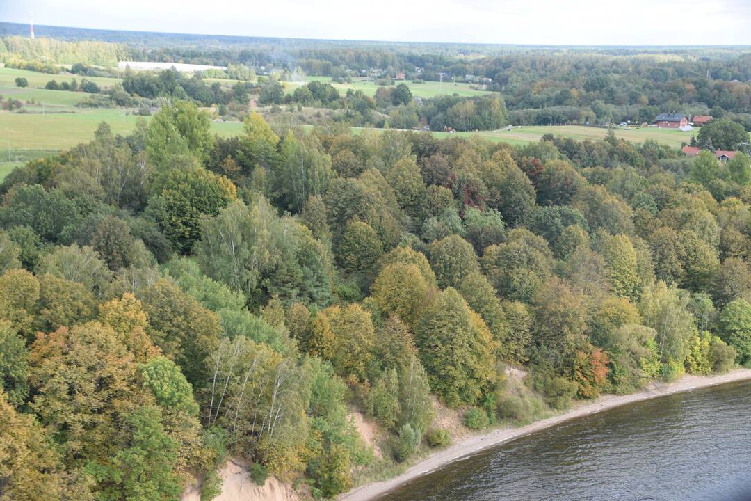Naujai rastas Palemono piliakalnis įtrauktas į Kultūros vertybių registrą
