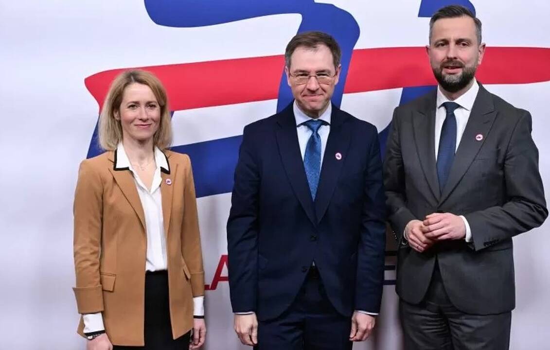 Viceministras: ES turi ieškoti būdų, kaip patenkinti kritinius Ukrainos poreikius