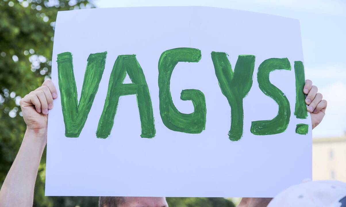 Vilniuje vagys pavogė elektroninės technikos už 11 tūkst. eurų