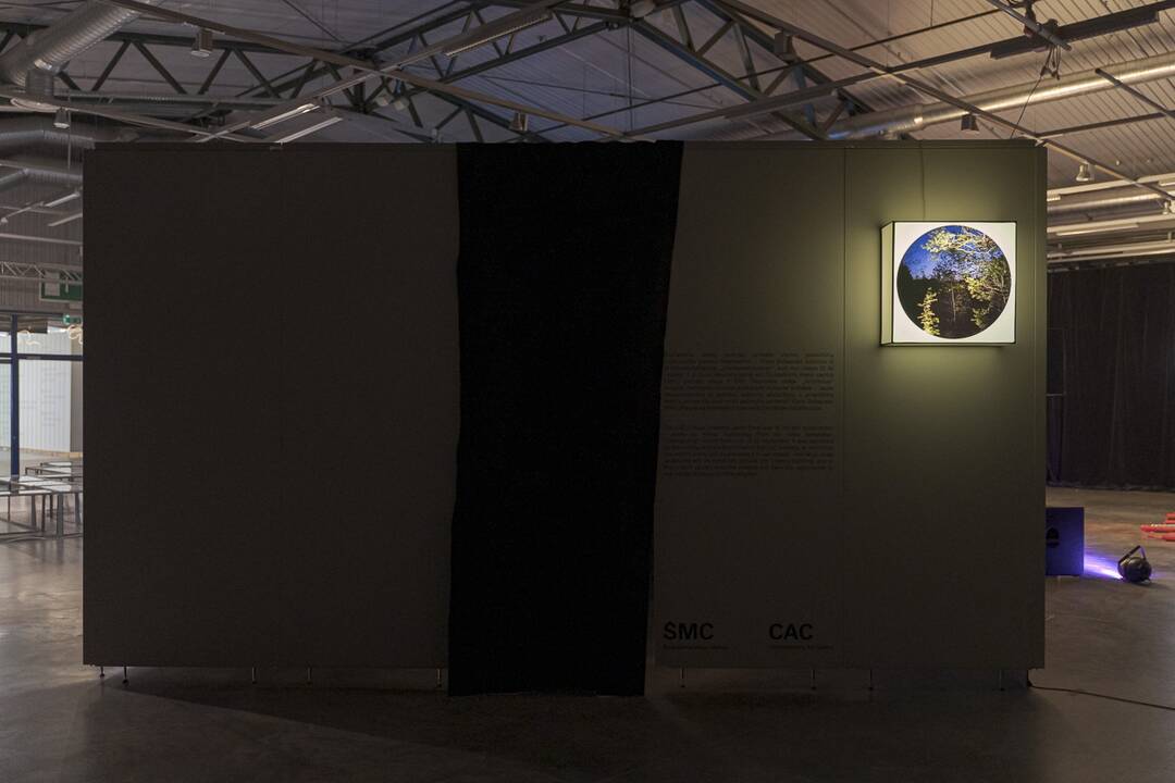 Geriausios meno mugės „ArtVilnius’20” galerijos ir menininkai