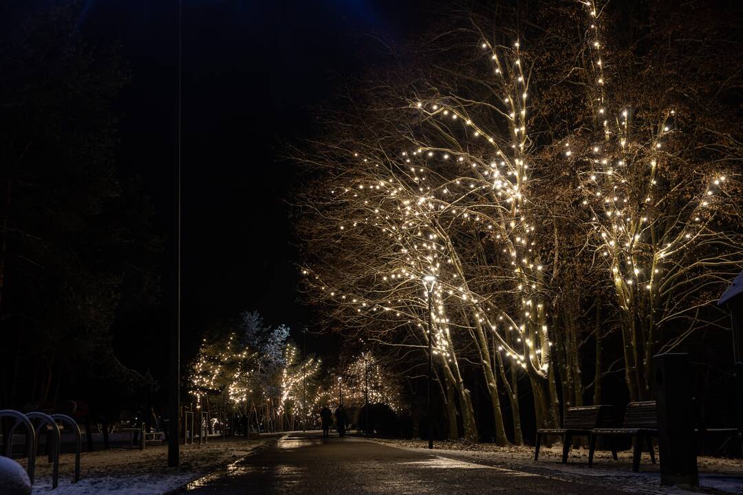 Kauną apgaubė kalėdinė magija