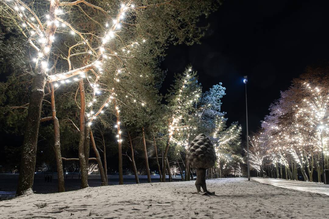 Kauną apgaubė kalėdinė magija