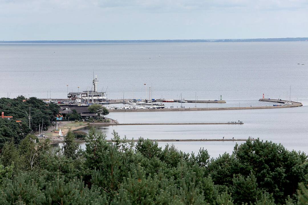 Kuršių nerijos  parke esančius miškus ketinama perduoti Kretingos miškų urėdijai