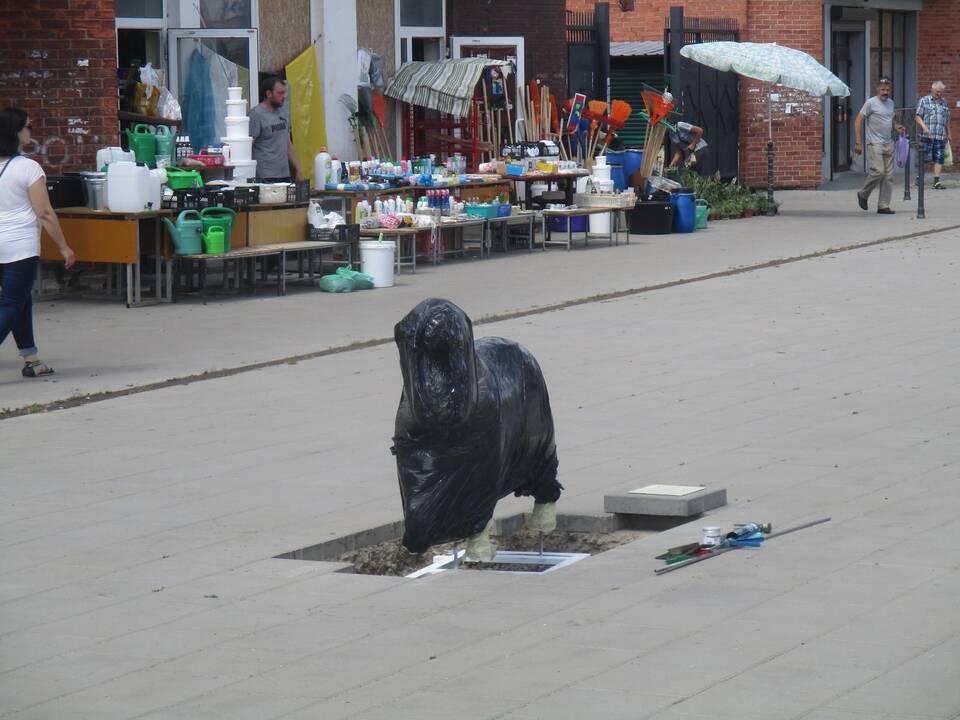 Montuojama skulptūra senbernarei Bitei