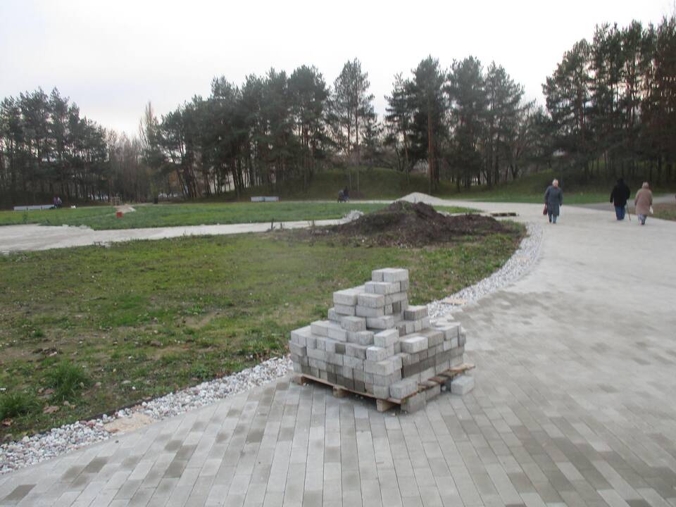 Draugystės parko rekonstrukcija