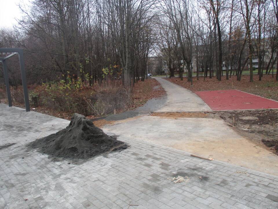 Draugystės parko rekonstrukcija