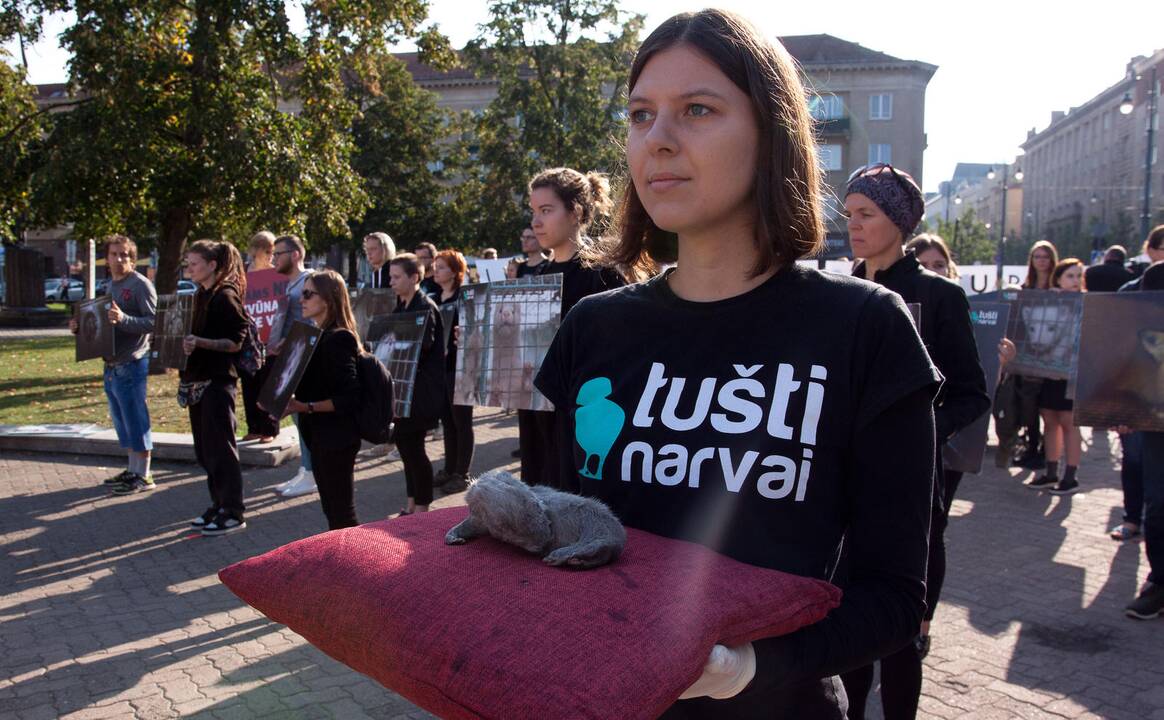 Protestas prie Seimo