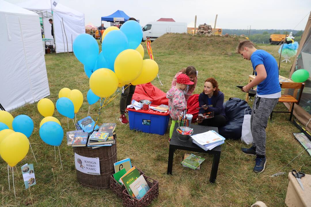 Zapyškio aitvarų festivalis 