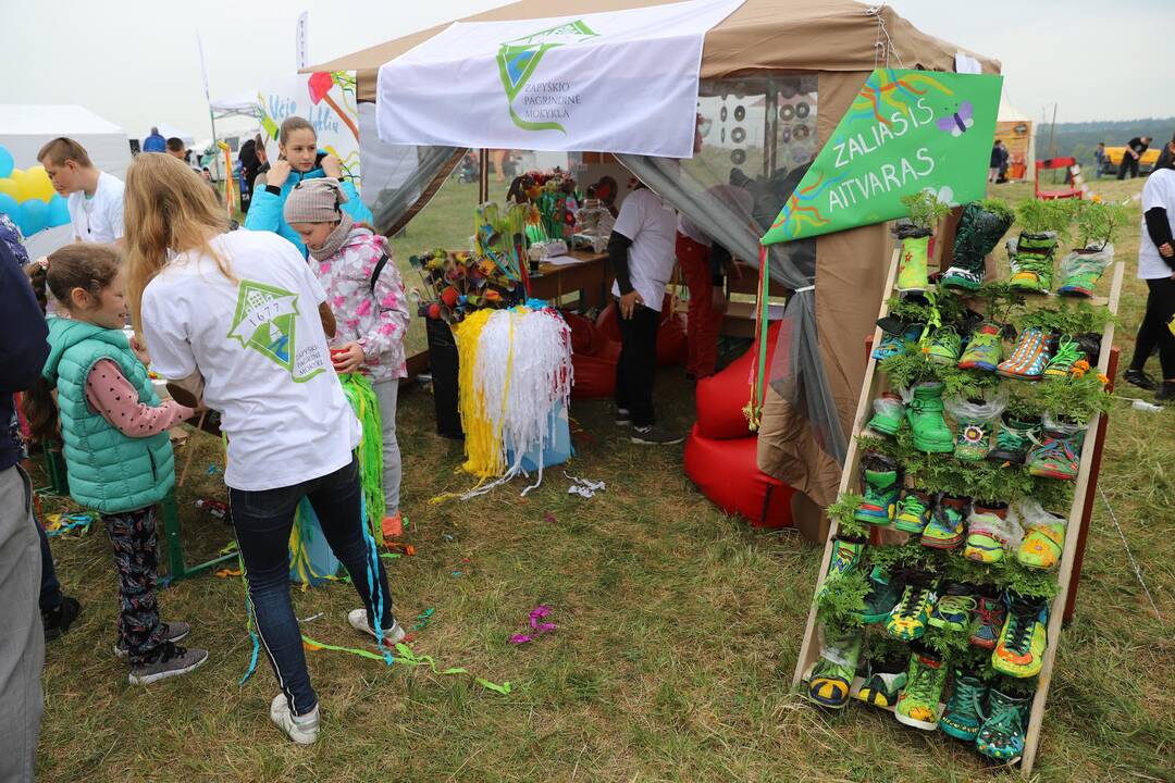Zapyškio aitvarų festivalis 