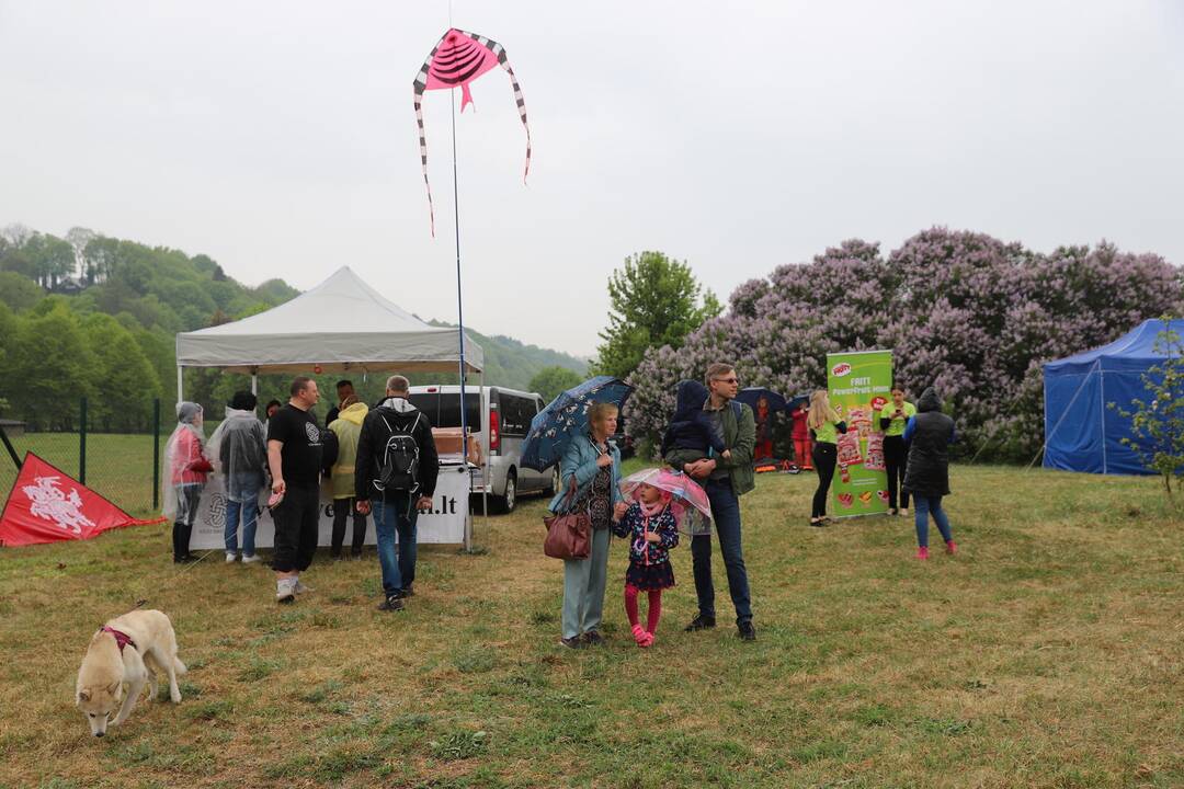 Zapyškio aitvarų festivalis 