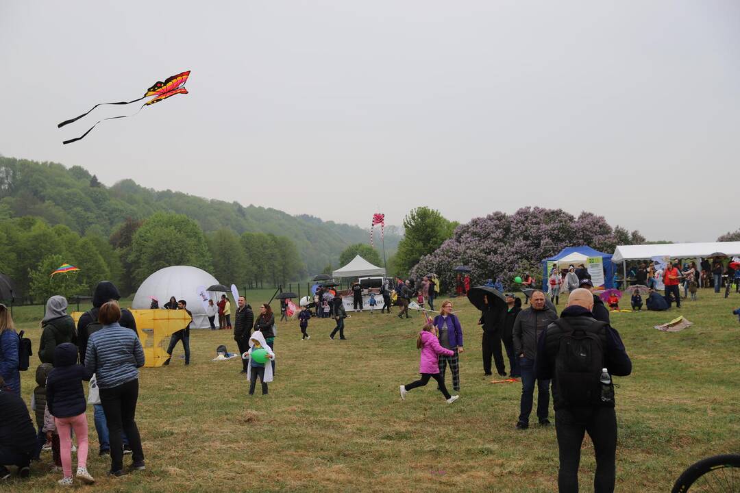 Zapyškio aitvarų festivalis 