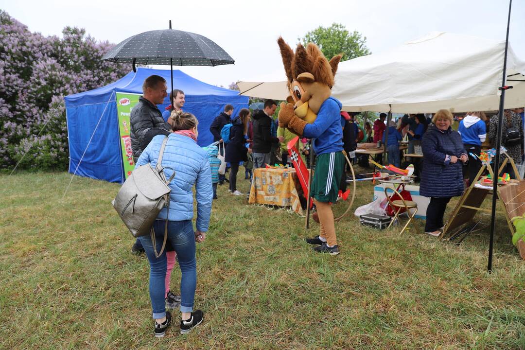 Zapyškio aitvarų festivalis 