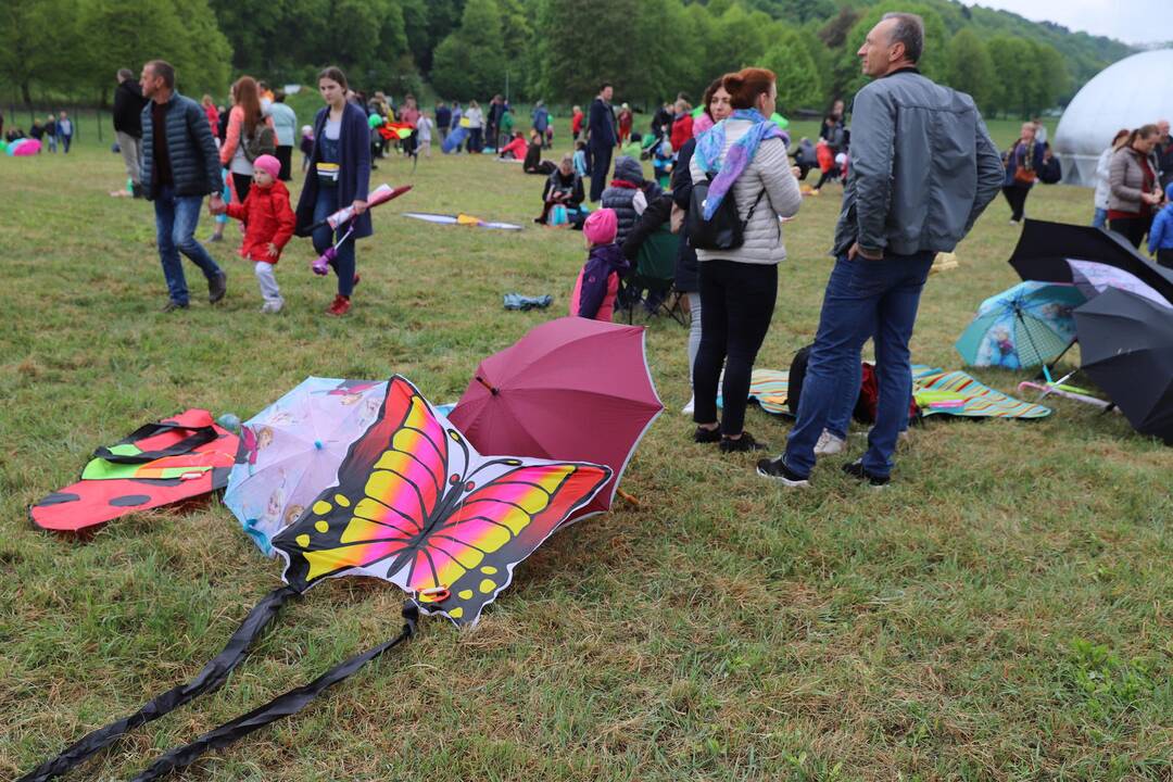 Zapyškio aitvarų festivalis 