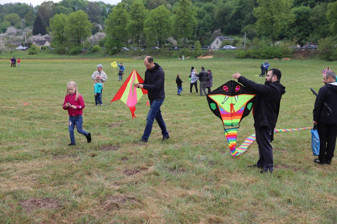 Zapyškio aitvarų festivalis 