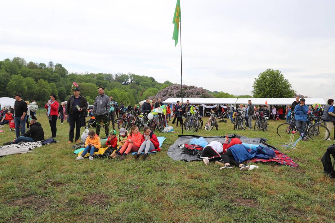 Zapyškio aitvarų festivalis 