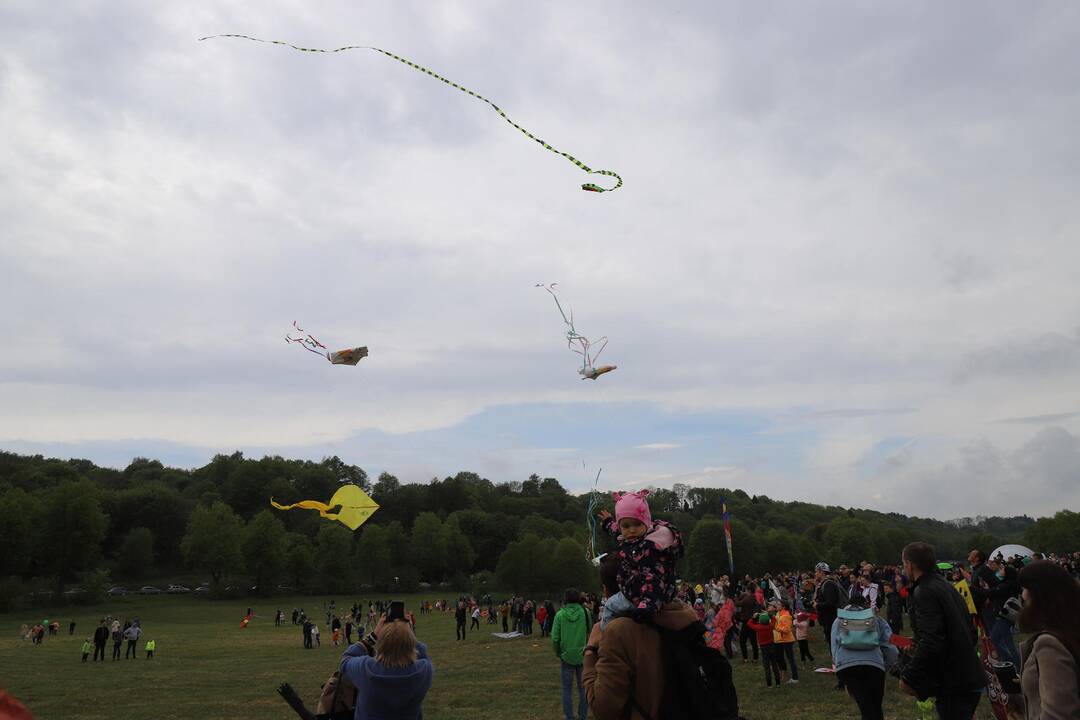 Zapyškio aitvarų festivalis 