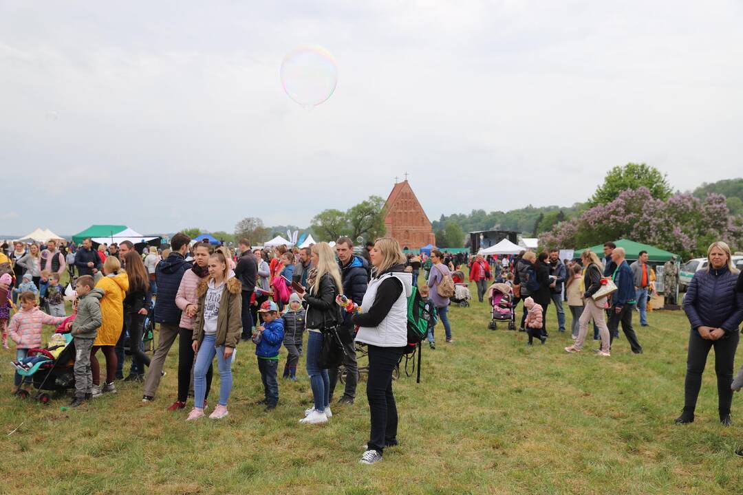 Zapyškio aitvarų festivalis 