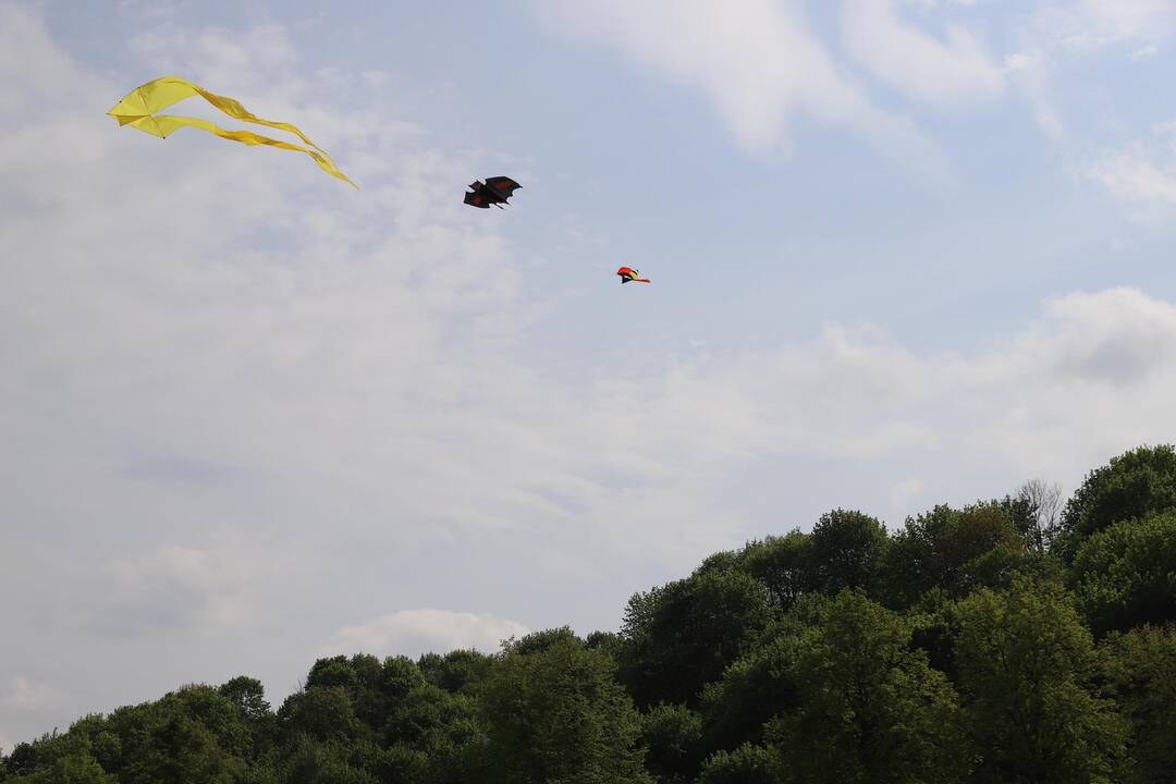 Zapyškio aitvarų festivalis 