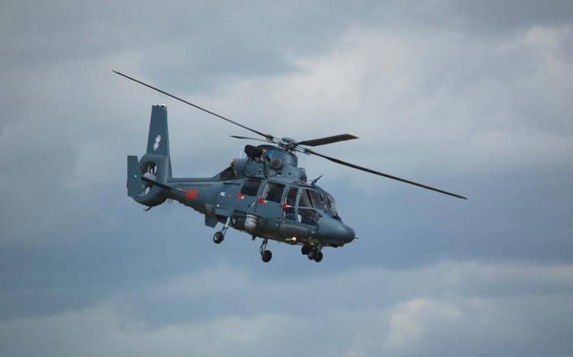 Sraigtasparnis "Dauphin"