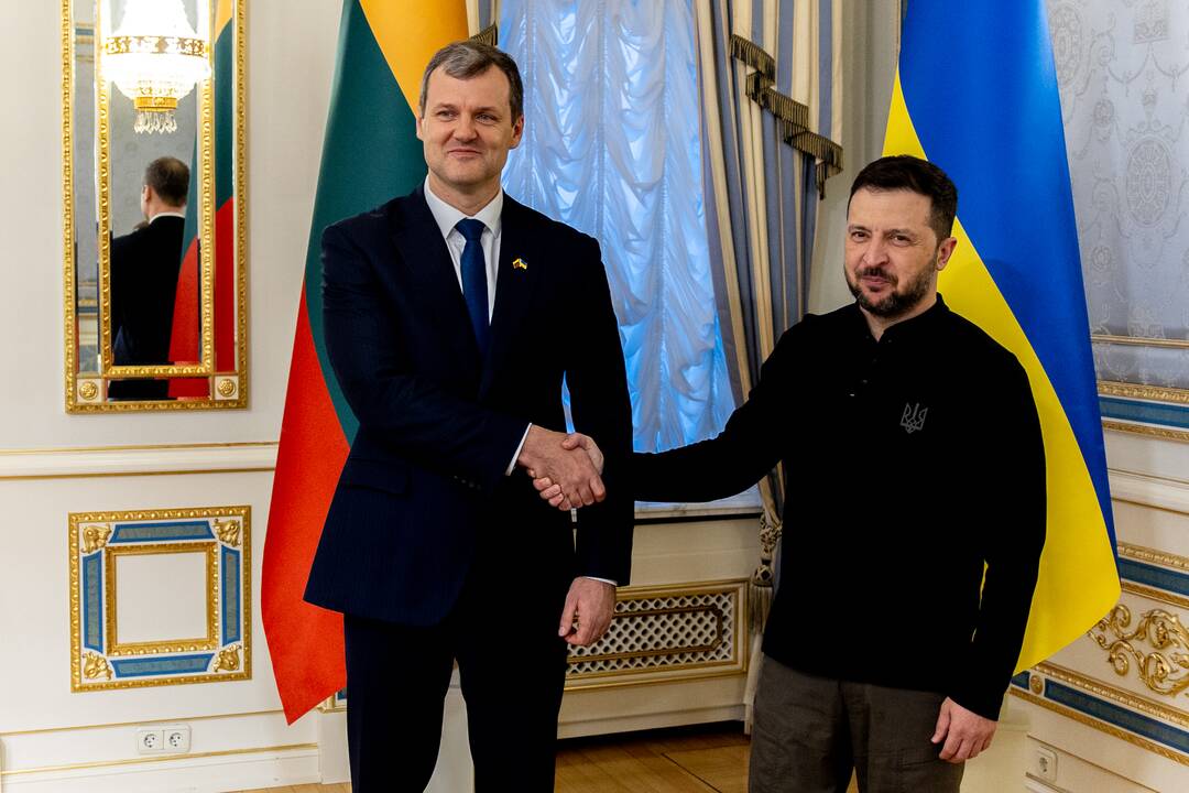 Gintautas Paluckas ir Volodymyras Zelenskis