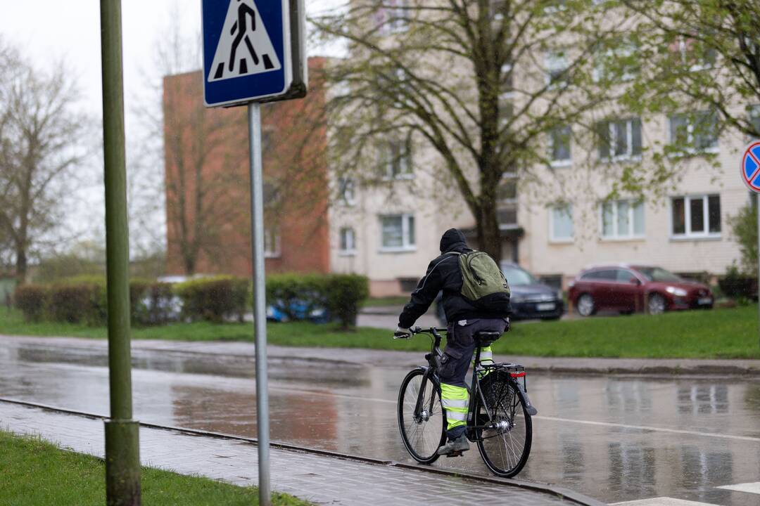 Baisogala ir jos apylinkės, kur planuojama statyti „Rheinmetall“ gamyklą