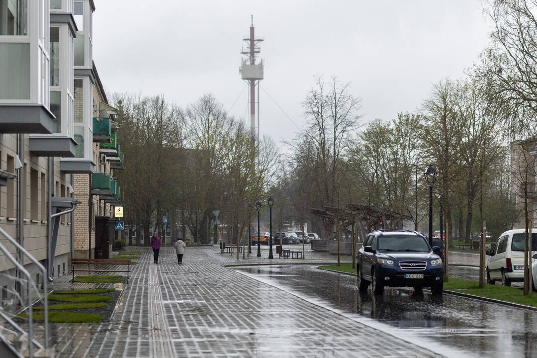 Baisogala ir jos apylinkės, kur planuojama statyti „Rheinmetall“ gamyklą