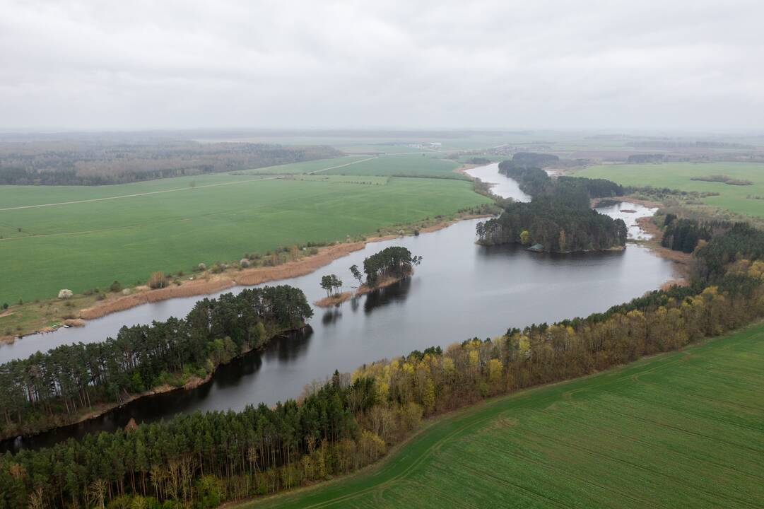 Baisogala ir jos apylinkės, kur planuojama statyti „Rheinmetall“ gamyklą