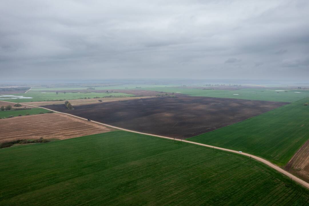 Baisogala ir jos apylinkės, kur planuojama statyti „Rheinmetall“ gamyklą