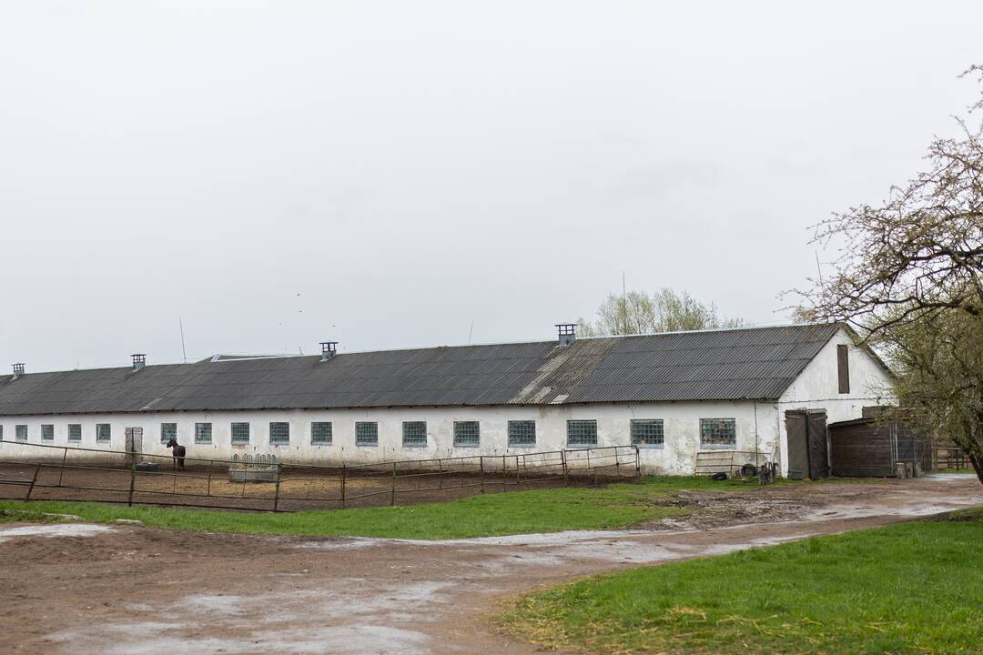 Baisogala ir jos apylinkės, kur planuojama statyti „Rheinmetall“ gamyklą