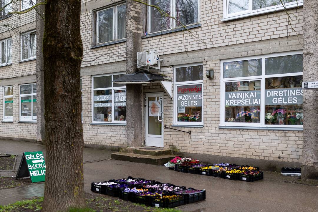 Baisogala ir jos apylinkės, kur planuojama statyti „Rheinmetall“ gamyklą