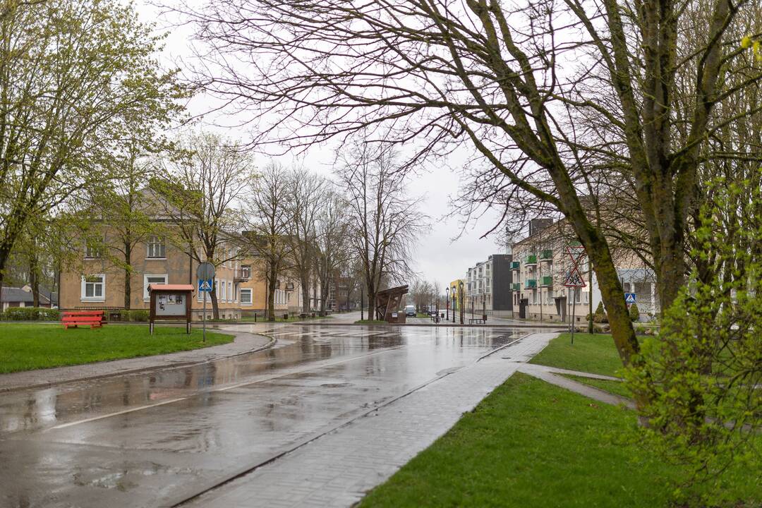 Baisogala ir jos apylinkės, kur planuojama statyti „Rheinmetall“ gamyklą