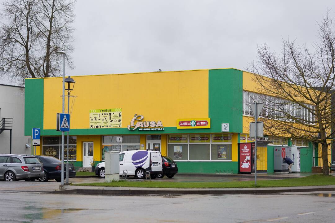 Baisogala ir jos apylinkės, kur planuojama statyti „Rheinmetall“ gamyklą