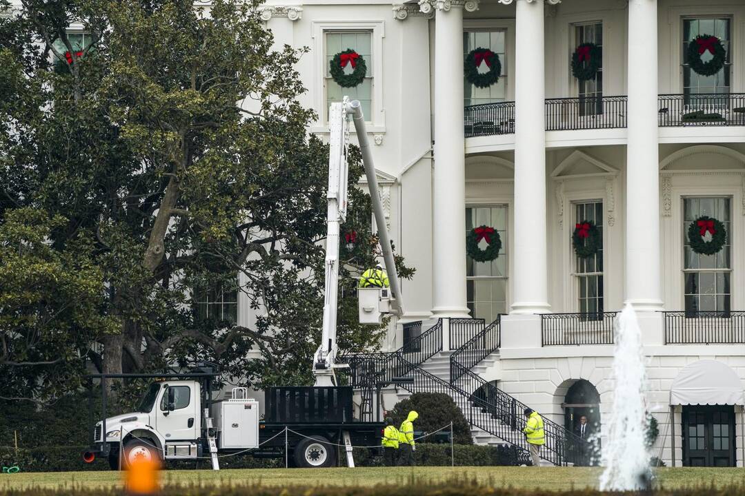 Amerikiečiams neduoda ramybės prie Baltųjų rūmų augančios magnolijos likimas