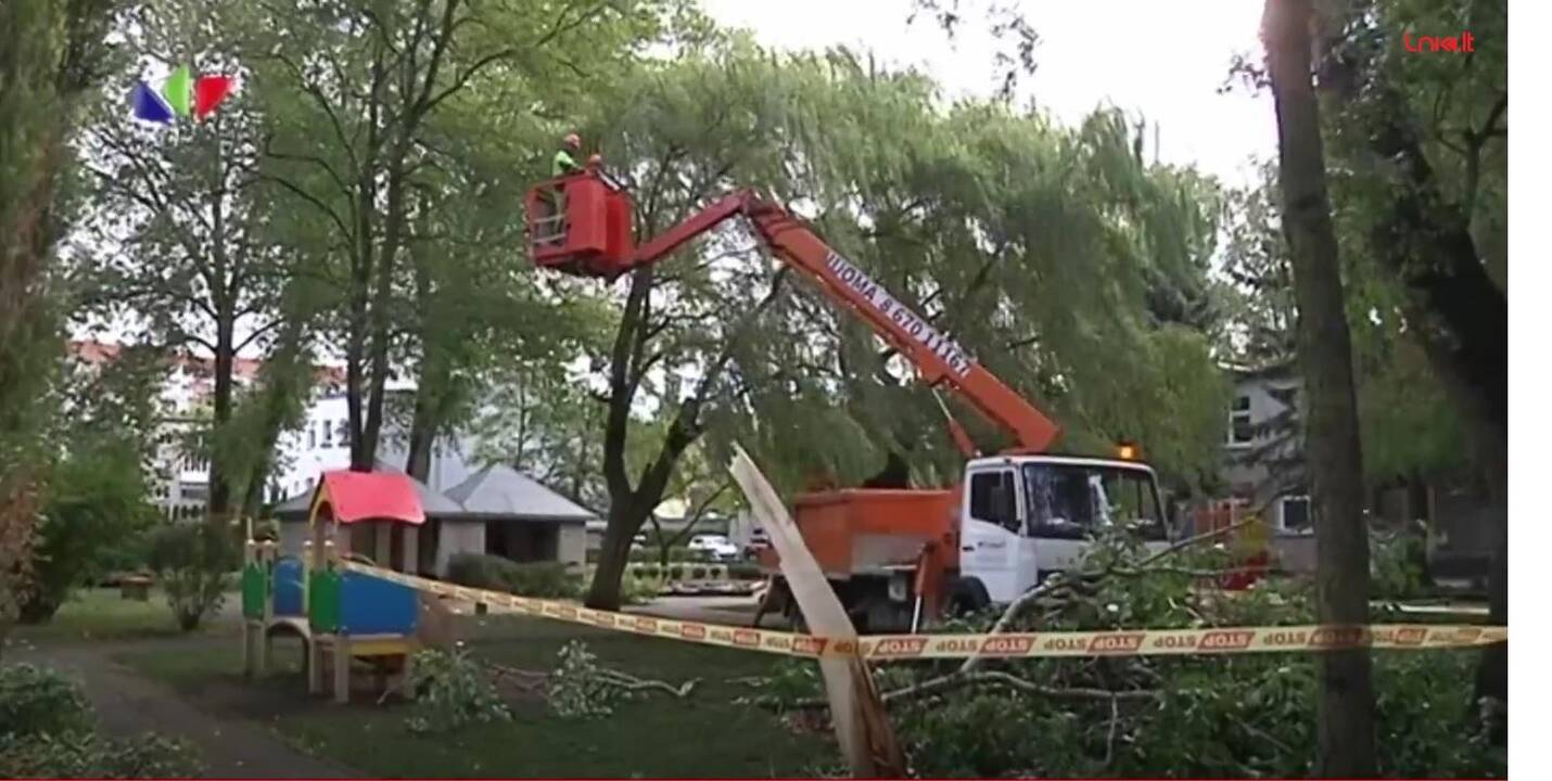 Klaipėdos darželyje šaka užkrito ant trimetės ir jos mamos