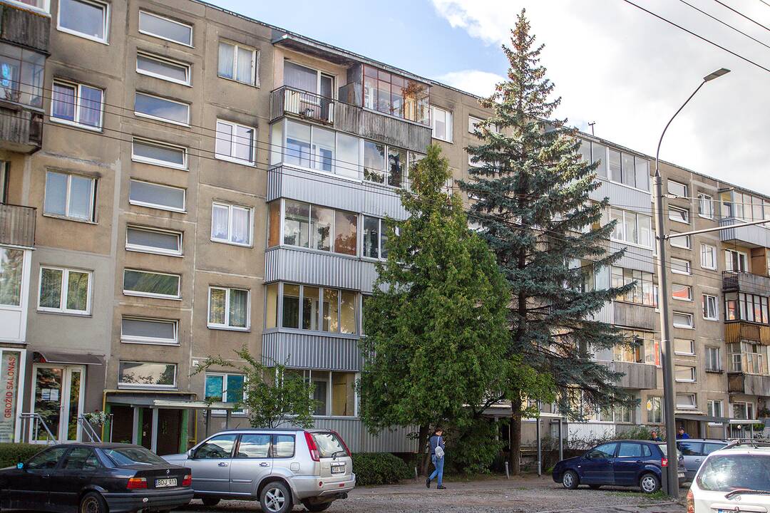 Medžiai, užstojantys daugiabučių langus