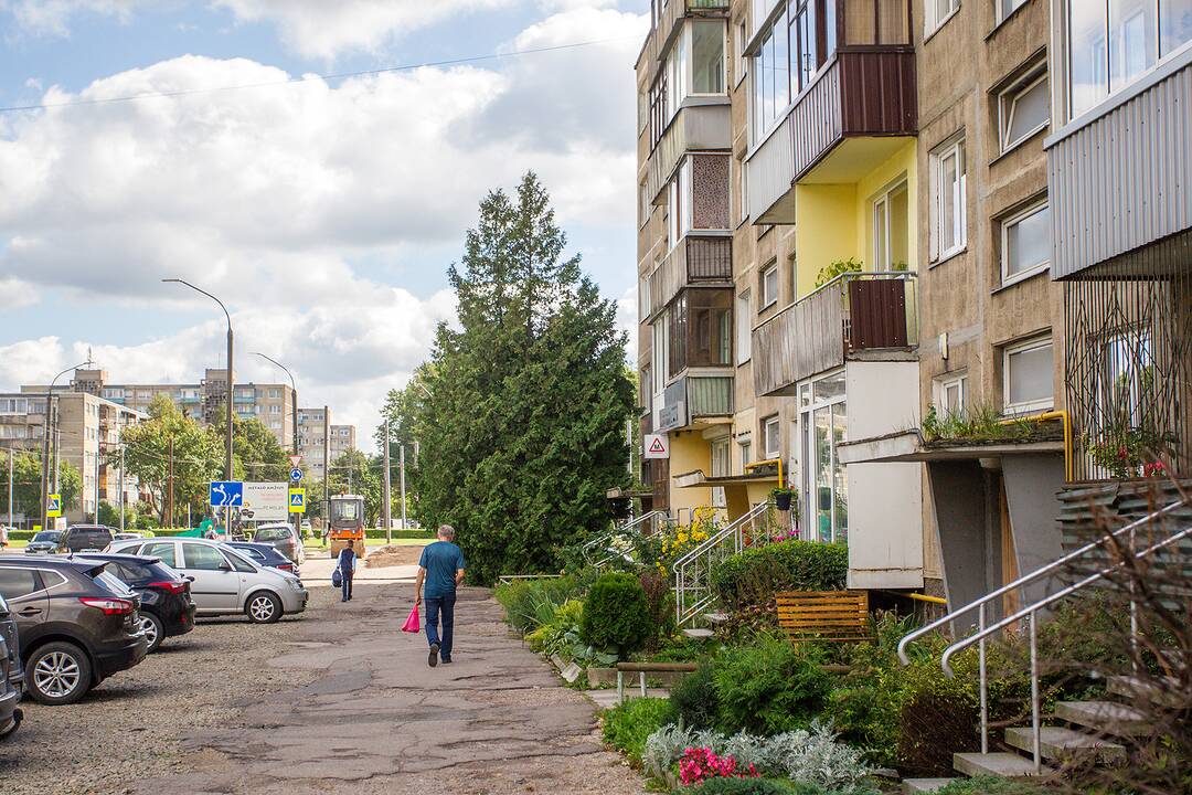 Medžiai, užstojantys daugiabučių langus