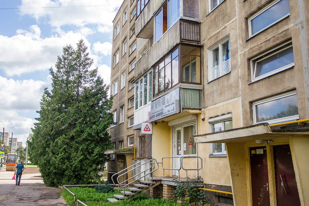 Medžiai, užstojantys daugiabučių langus