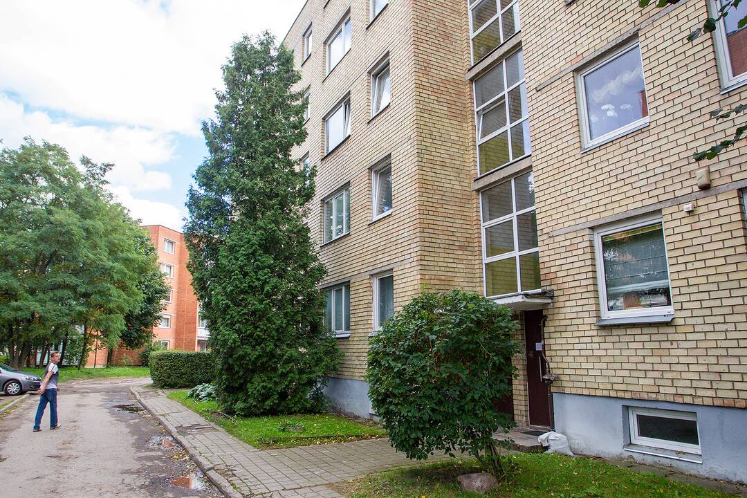 Medžiai, užstojantys daugiabučių langus