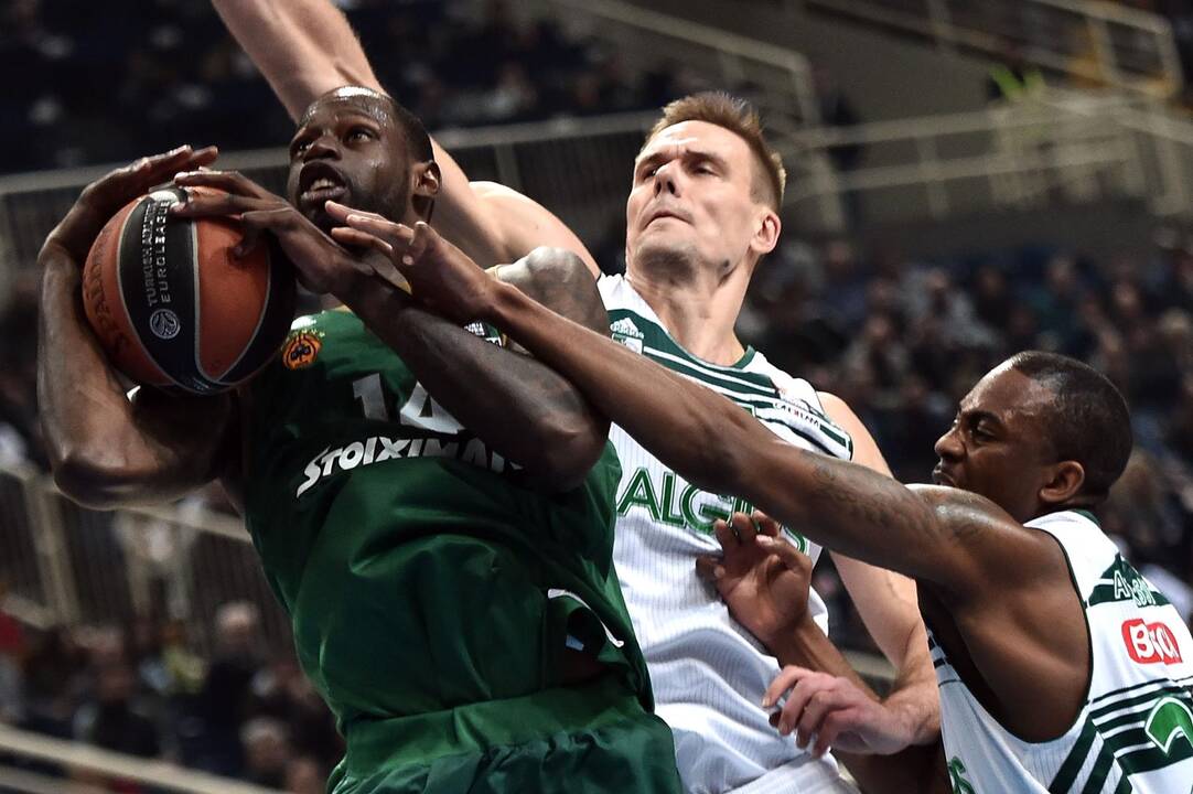 Eurolyga: "Panathinaikos" - "Žalgiris"