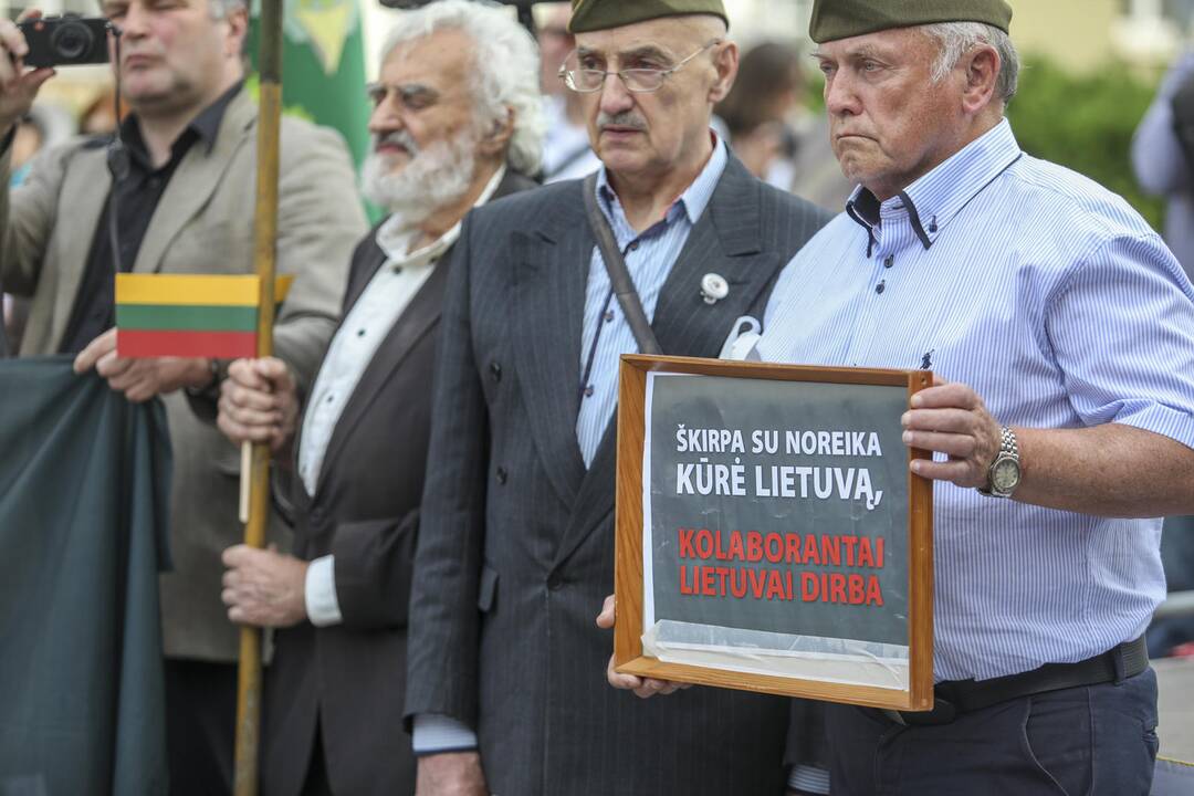 Mitingas S. Daukanto aikštėje